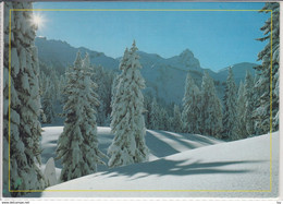 8897 - FLUMSERBERG Tannenheim - Winterlandschaft Mit Sächsmoor - Flums