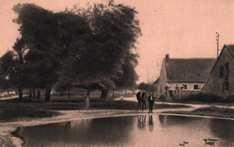 Villequiers - Le Champ De Foire - Baugy