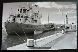 Carte Photo ZEPHYR " Le Havre "  Bateau Cargo  Au Port D'Antibes ( Commerce Marine Marchande ) - Cargos