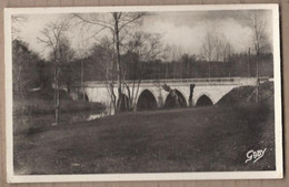 CPSM 44 - AIGREFEUILLE-sur-MAINE - Le Pont Diderot - TB PLAN EDIFICE - Aigrefeuille-sur-Maine