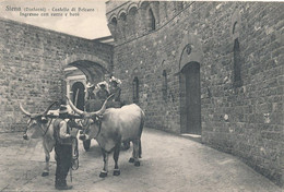 CPA -23691-Italie -Siena-(Dintorni) Castello Di Belcaro--Ingresso Con Carro E Bovi ( Belle Animation)- Envoi Gratuit - Siena
