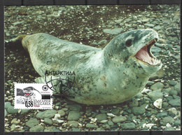 BULGARIE. Timbre De 2011 Sur Carte Maximum. Phoque/Base Bulgare Sur Livingston. - Antarctic Wildlife