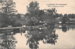¤¤  -   CHENERAILLES   -  La Creuse Pittoresque  -  L'Etang De La Forêt    -   ¤¤ - Chenerailles