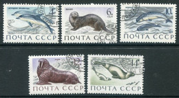 SOVIET UNION 1971 Marine Mammals Used.  Michel 3913-17 - Usati