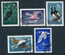 SOVIET UNION 1972 Sea Birds Used.  Michel 3974-78 - Usados