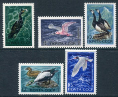 SOVIET UNION 1972 Sea Birds MNH / **.  Michel 3974-78 - Unused Stamps