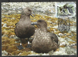 BULGARIE. Timbre Issu Du BF 242 De 2008 Sur Carte Maximum. Année Polaire Internationale/Skua. - Année Polaire Internationale