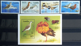 OISEAUX - LESOTHO               N° 856/859 + BF 70                       NEUF** - Pics & Grimpeurs