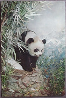 NEW YORK USA GIANT PANDA CARD HISTORY MUSEUM NATURAL GIANT XL CARTE POSTALE ANSICHTSKARTE CARTOLINA POSTCARD PC PC AK - Long Island