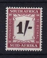 South Africa: 1950/58   Postage Due    SG D44    1/-    MH - Strafport