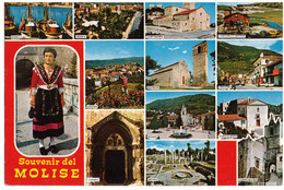 1978 MOLISE 1  SOUVENIR - Andere & Zonder Classificatie