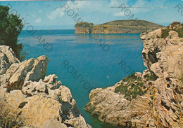 CARTOLINA  ALGHERO,SASSARI,SARDEGNA,CAPO CACCIA VISTO DA PUNTA GIGLIO,LUNGOMARE,VACANZA,MARE,BELLA ITALIA,VIAGGIATA 1979 - Sassari