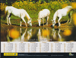 Almanach Du Facteur, Calendrier De La Poste,1998, HAUTE SAONE, Chevaux En Liberté - Grand Format : 2001-...