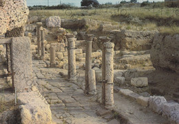 CARTOLINA  PORTO TORRES,SASSARI,SARDEGNA,RESTI ARCHEOLOGICI DELLA CITTA ROMANA "TURRIS LIBYSONIS",NON VIAGGIATA - Sassari