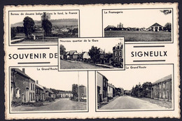 +++ CPA - Souvenir De SIGNEULX - Multivues   // - Musson