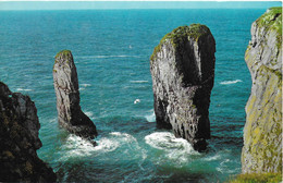 STACK ROCKS, PEMBROKESHIRE, WALES. UNUSED POSTCARD   Tw5 - Pembrokeshire