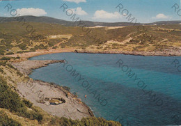 CARTOLINA  S.ANTIOCO,CARBONIA-IGLESIAS,SARDEGNA,CALA SAPONE,MARE,SPIAGGIA,BARCHE A VELA,ESTATE,VACANZA,VIAGGIATA 1981 - Carbonia