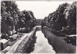 70. Gf. PORT-SUR-SAONE. Canal De L'Est. Promenade Des Marronniers. 2 - Port-sur-Saône