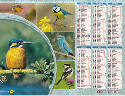 Almanach Du Facteur, Calendrier De La Poste, 2012: COTE D'OR: Oiseaux: Martin-pêcheur, Rouge-Gorge, Mésange, Rollier... - Grand Format : 2001-...