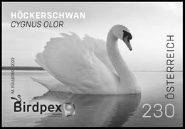 Autriche** - Timbre Spécial "Birdpex 2022" - Cygne Tuberculé / Knobbelzwaan / Stummer Schwan - Impression Noir/blanc - Zwanen