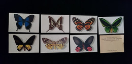 7 Cp COMITE NATIONAL DE L'ENFANCE PAPILLONS Papilio Telegonus Acus Kaguya Moorea Argus Antheus Horishanus Zagreus Aruana - Papillons