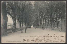 Carte P De 1905 ( Aubonne / Promenade Du Chêne ) - Aubonne