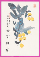 279525 / UNICEF Art Illustrator ??? - Fong Hua Industrial Ltd. Hong Kong (China) Fruit Persimmon Kaki Diospyros PC 503E - Arbres