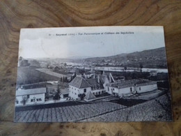 74/ SEYSSEL VUE PANORAMIQUE ET CHATEAU DES SEYCHALLETS - Seyssel