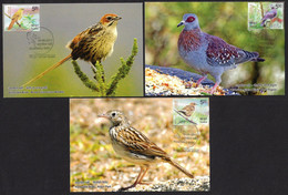 India 2017 Vulnerable Birds Set Of 3 Maxicards - Nilgiri Pipit, Wood Pigeon, Broad Tailed Grass Warble (**)  Inde Indien - Cartas