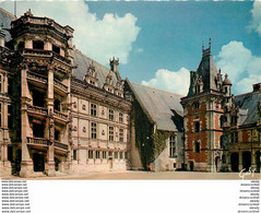 41 BLOIS Château - Blois