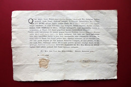 Patente Notarile Artis Notarii Giurisprudenza Cavazzoni Castellarano Modena 1785 - Unclassified