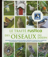 Le Traité Rustica Des Oiseaux Du Jardin - Découvrir Toutes Les Espèces Du Jardin, Favoriser La Nidification Et Participe - Enzyklopädien