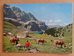 Bannalp - Berghaus Urnerdtaffel - 1982 - Other & Unclassified