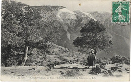 Z 1734  BLIDA  CIMETIERE ARABE DE  SIDI EL GHRIB  CHEMIN DE LA GLACIERE - Blida