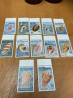 St Vincent Stamp Shell MNH Long Set - St.Vincent & Grenadines