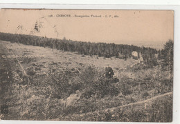 CHENOVE - L'Escargorière Thabard - Timbrée 24/9/1910 -   Ed  L.V.  N° 398 - Chenove