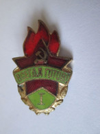 URSS/USSR Insigne/badge:Organization Of Pionniers,always Ready First Class Since The 60s,size=27 X 18 Mm - Associations