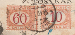 Italie 1931 Y&T Taxe 3 Et 11 Sur Entier Postal Allemand. Curiosité, 60 C Piquage à Cheval. Merano, Bolzen, Bolzano - Postage Due