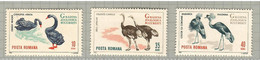 Romania 1964, Bird, Birds, Zoo, Swan, Ostrich, 3v, MNH** (Split From Set Of 8v) Very Good Condition - Struzzi