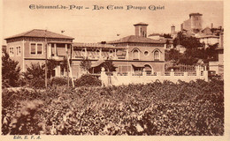 CHATEAUNEUF DU PAPE, LES CAVES PROSPER QUIOT ET LES VIGNES  REF 3504 - Chateauneuf Du Pape