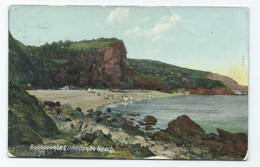 Devon   Postcard  Torquay  Babacombe And Oddicombe Frith's Egg Glazed Posted 1905 St.marys Church - Torquay