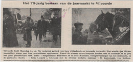 Vilvoorde - Krantenknipsel Over Het 75 - Jarig Bestaan Van De Jaarmarkt In 1928 (op Kaartje Geplakt) - Vilvoorde