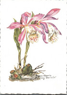 Signature Non Lisible -  Orchidee -  Edition Korsch - 1981 - Andere & Zonder Classificatie