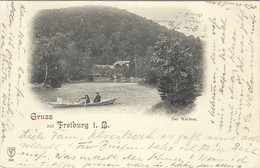 Gruss Aus Freiburg I. Brisgau Der Waldsee - Isny