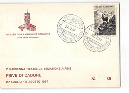 AG1983 PIEVE DI CADORE Ia RASSEGNA FILATELICA TEMATICHE ALPINE 1987 - 1981-90: Storia Postale