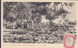 St. Kits And Nevis PPC Ruins Of The House Where Alexander Hamilton Was Born, Nevis Frontside Stamped (2 Scans) - Saint-Christophe-et-Niévès