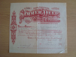 SHARE CERTIFICATE THE SIMMER DEEP AFRIQUE DU SUD - Afrique