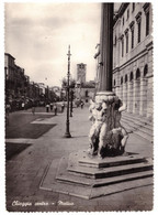 1953 CHIOGGIA CENTRO    VENEZIA - Chioggia