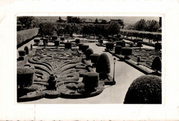 81 CASTRES JARDIN DE L'EVECHE DESSINE PAR LE NOTRE - Castres