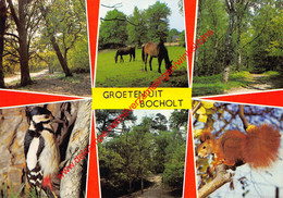 Groeten Uit … - Bocholt - Bocholt